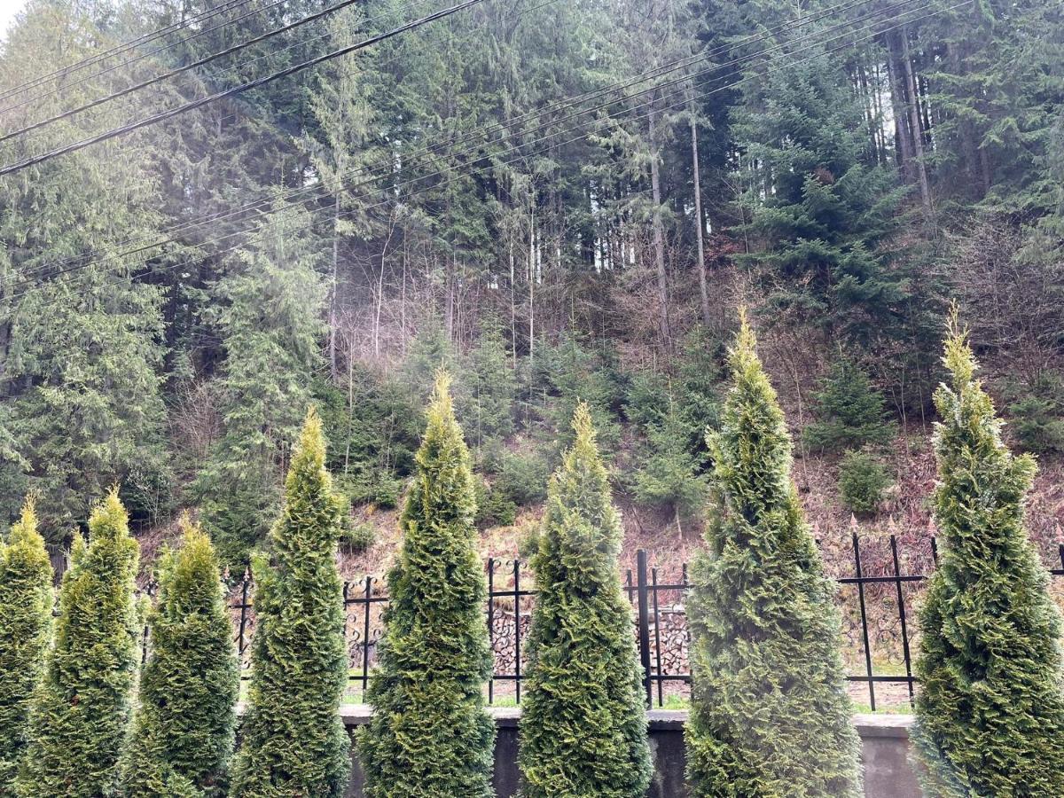 Pensiunea Pe Drumuri De Munte Borca Exterior foto